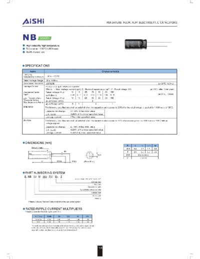 Aishi nb  . Electronic Components Datasheets Passive components capacitors Datasheets A Aishi nb.pdf