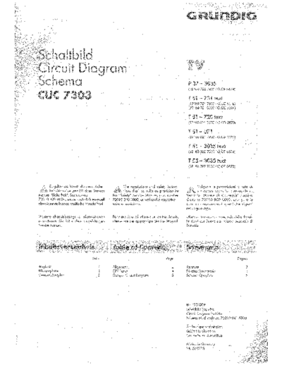 Grundig P37-3035,T51, T55 Schematic