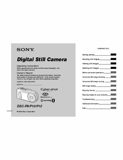 Sony DSC-P8 120 page user