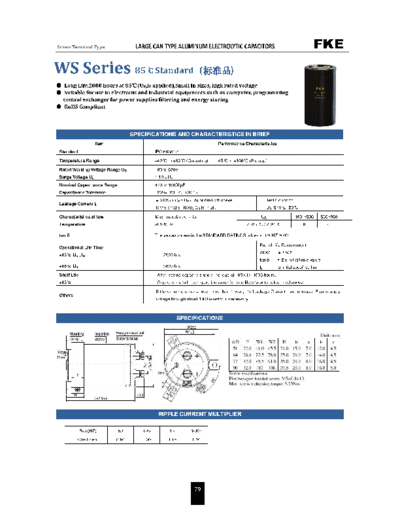 FKE [screw-terminal] WS Series Series  . Electronic Components Datasheets Passive components capacitors FKE FKE [screw-terminal] WS Series Series.pdf