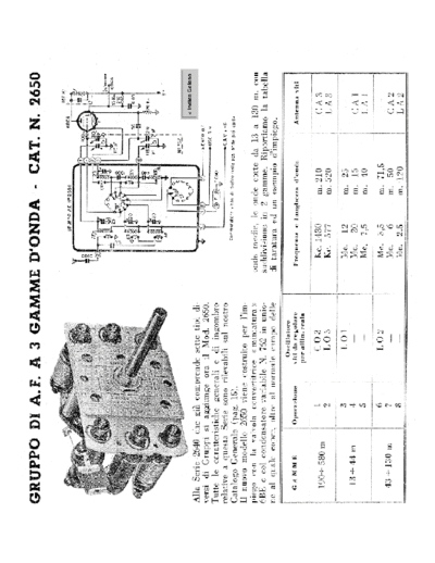 GELOSO Geloso 2650 RF Unit  GELOSO Geloso 2650 RF Unit.pdf