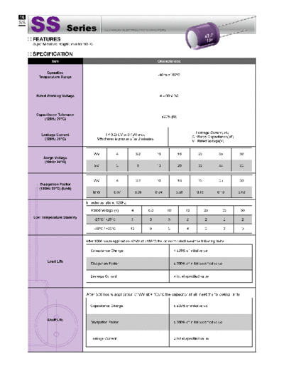 Evercon [radial thru-hole] SS Series  . Electronic Components Datasheets Passive components capacitors Evercon Evercon [radial thru-hole] SS Series.pdf