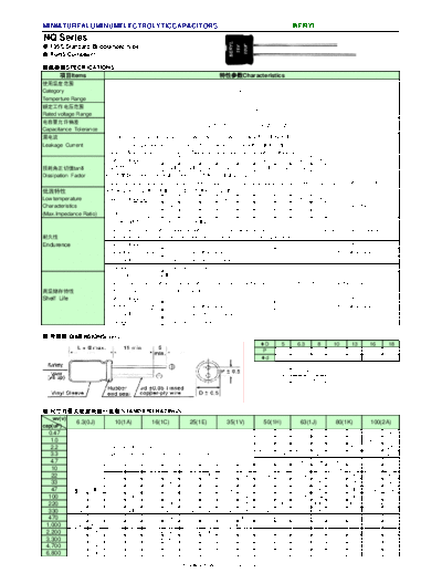 Beryl [non-polar thru-hole] NQ Series  . Electronic Components Datasheets Passive components capacitors Beryl Beryl [non-polar thru-hole] NQ Series.pdf