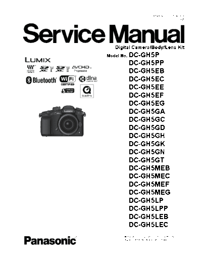 panasonic dsc1703003ce  panasonic Cam DC-GH5EG dsc1703003ce.pdf