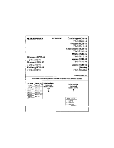 Blaupunkt rcr45  Blaupunkt Car Audio rcr45.pdf