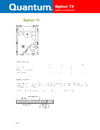 Quanta Quantum Bigfoot jumpers  Quanta Quantum Bigfoot jumpers.PDF