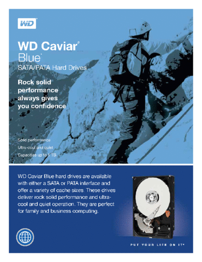 Western Digital WD Caviar Blue IV  Western Digital WD Caviar Blue IV.pdf